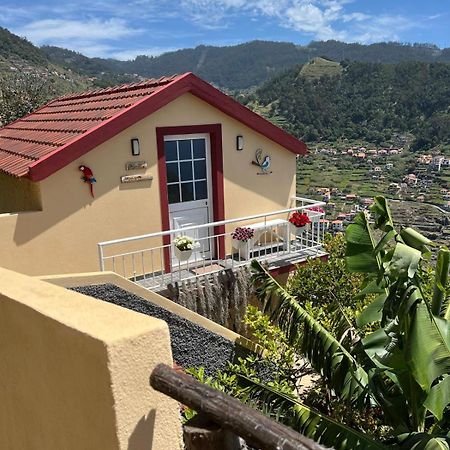 Tropical House Ribeira Brava Exterior foto