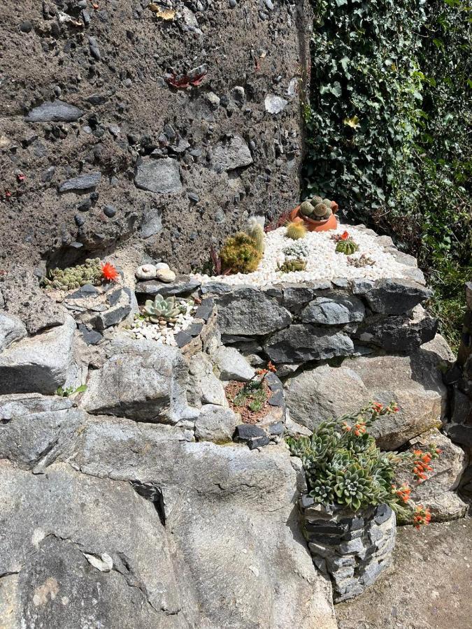 Tropical House Ribeira Brava Exterior foto