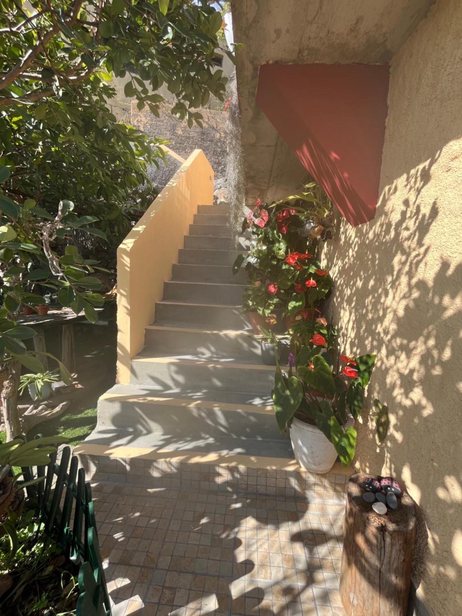 Tropical House Ribeira Brava Exterior foto